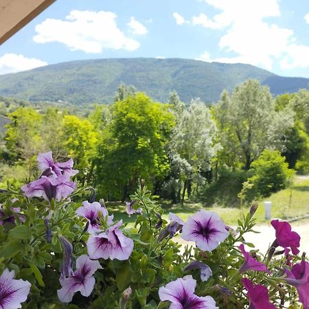 Pianpieve Nature & Relax Apartments أسيسي المظهر الخارجي الصورة