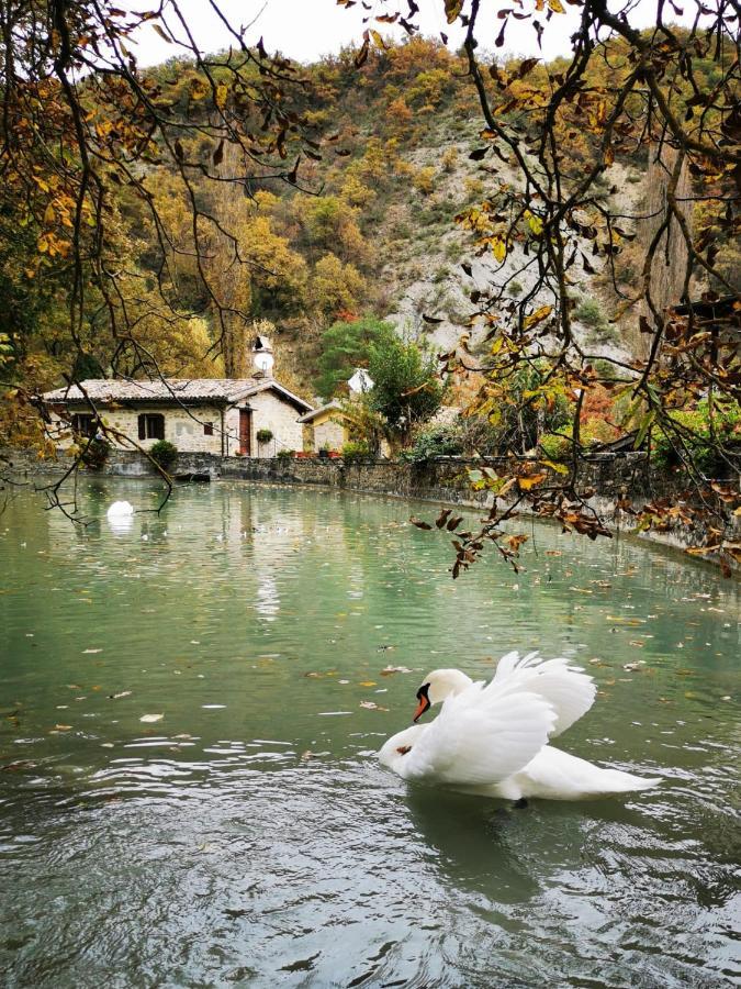 Pianpieve Nature & Relax Apartments أسيسي المظهر الخارجي الصورة