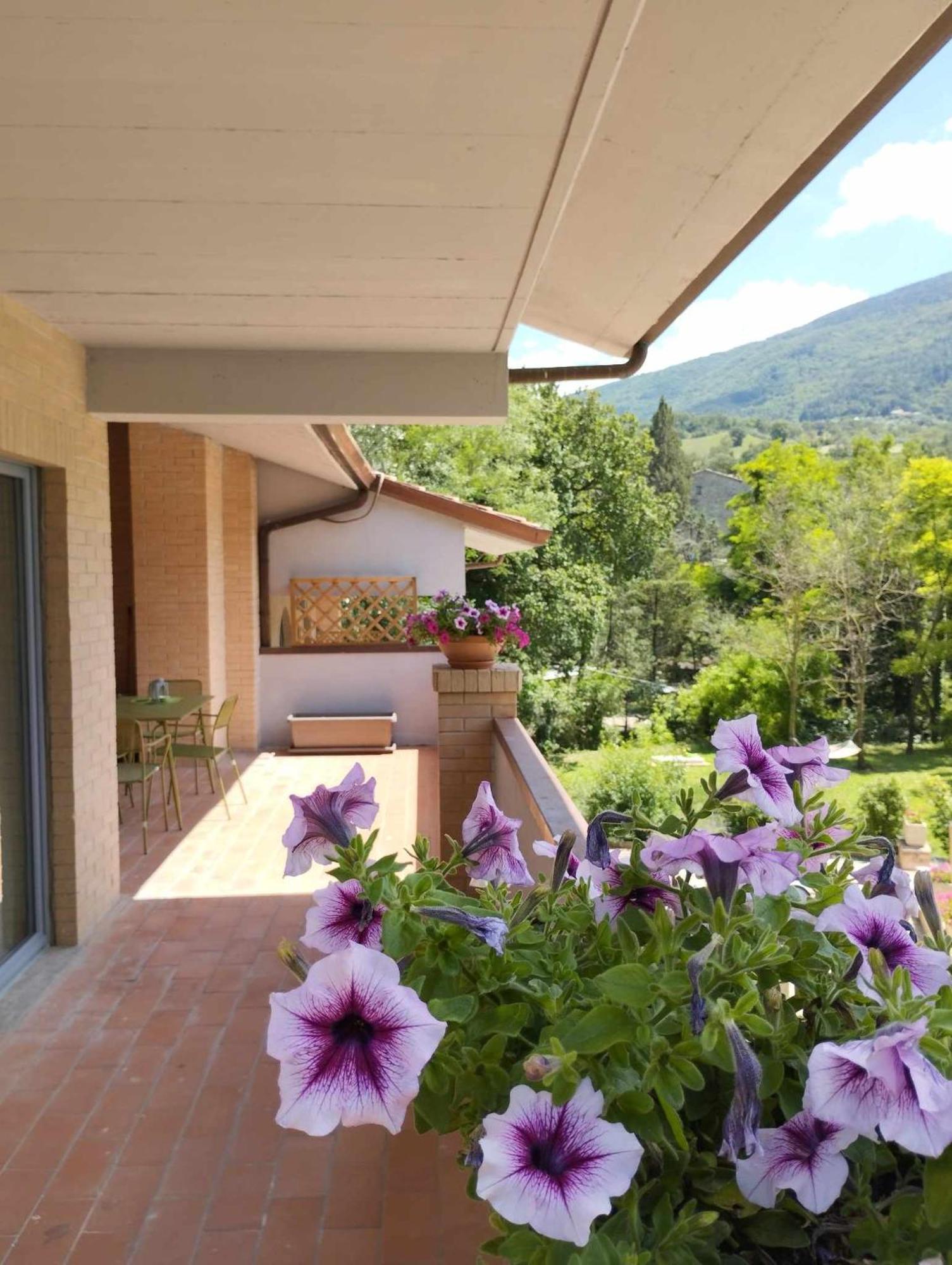 Pianpieve Nature & Relax Apartments أسيسي المظهر الخارجي الصورة